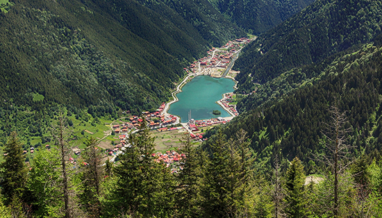 Trabzon Havaliman Ara Kiralama